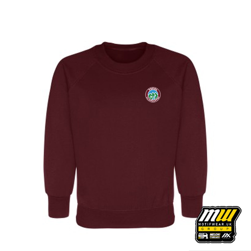 YSGOL LLANLLYFNI JUMPER